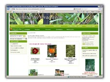 www.le-chatel-des-vivaces.com