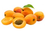 ABRICOT