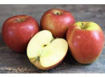 POMME